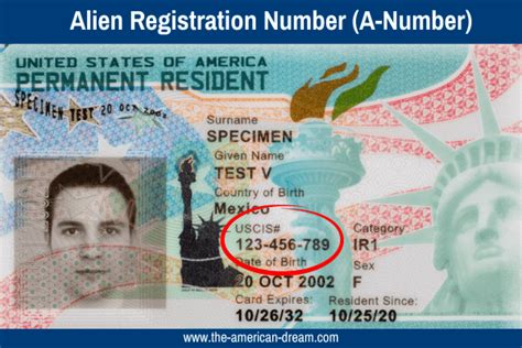 alien registration number on green card